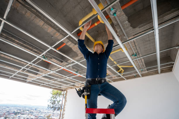 Best Plumbing Services Near Me  in Kentwood, LA